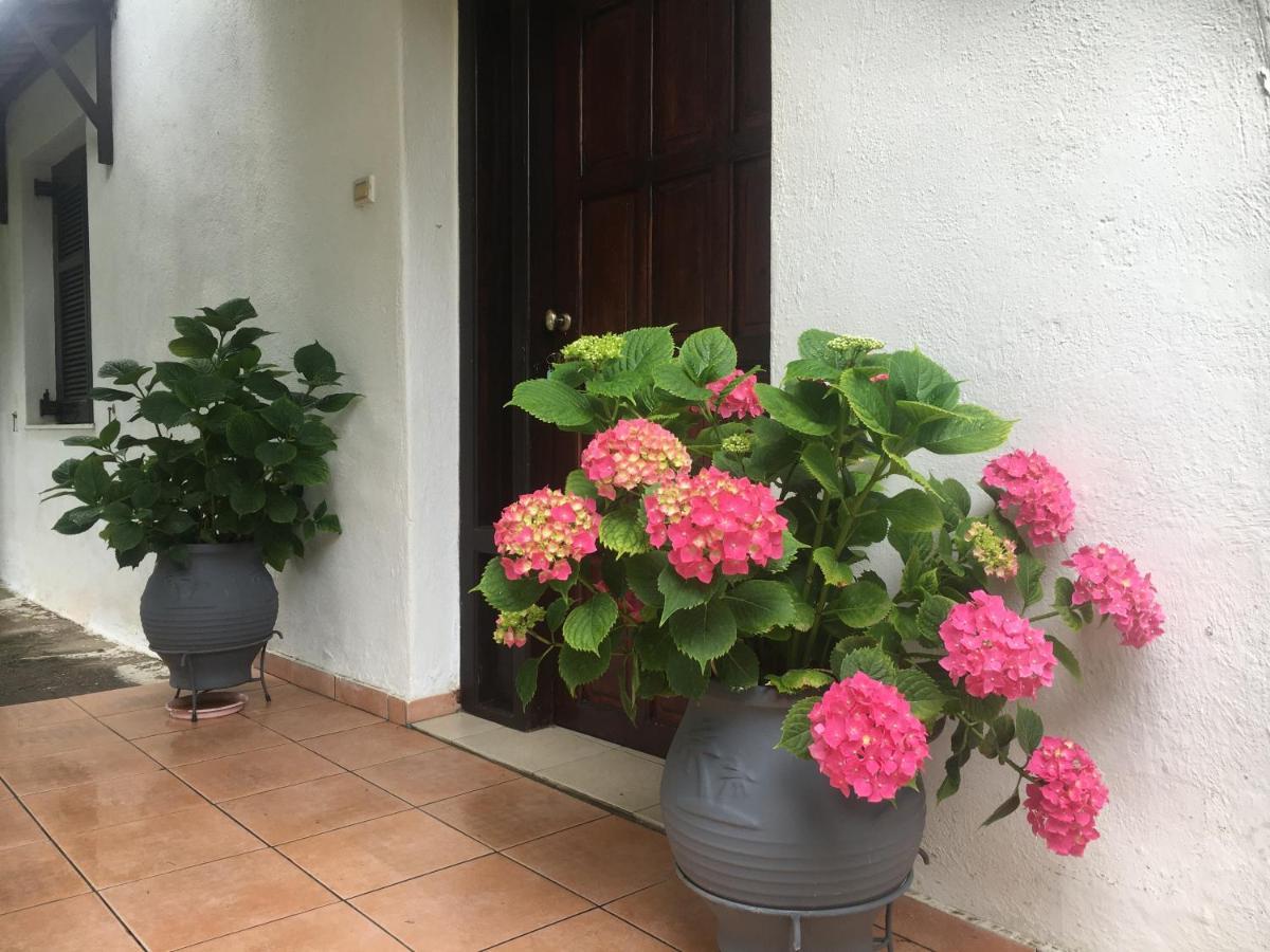 Sarakinas Farm House Kalambaka Exterior foto